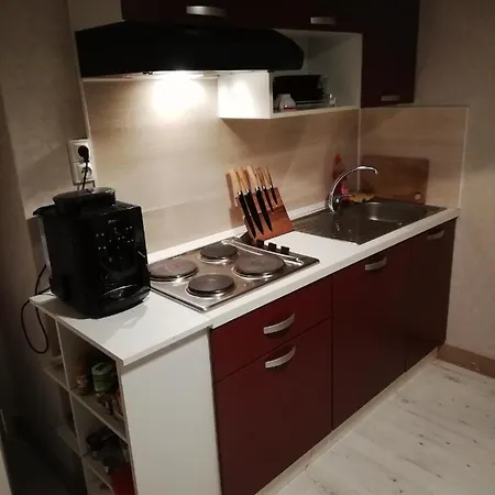 Apartment La Petite Barante *